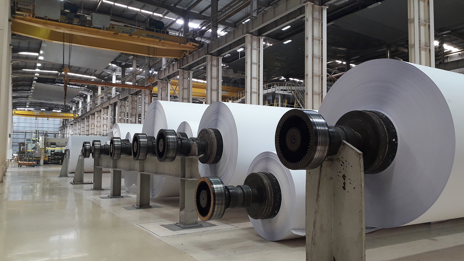 Machines For The Production Of Paper Rolls And Roll Of White Pap